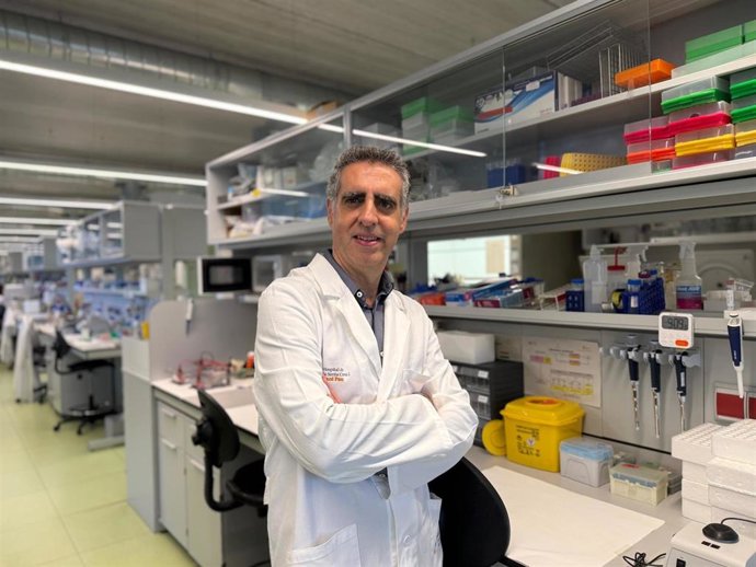 El jefe del grupo de Epigenética del Cáncer del Instituto de Investigación Sant Pau, Manel Esteller.