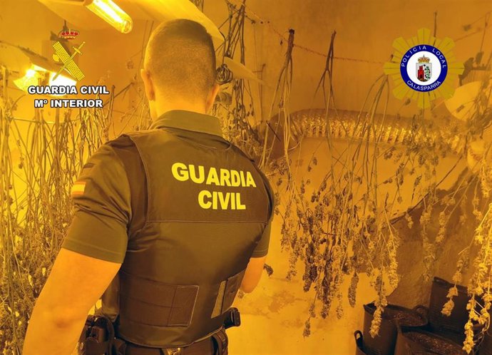 Vídeo de la noticia
