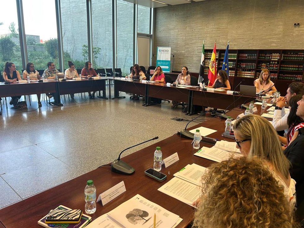 La secretaria general de Igualdad de la Junta de Extremadura, Ara Sánchez Vera, en el Pleno del Observatorio Extremeño contra la Discriminación por Orientación Sexual e Identidad de Género