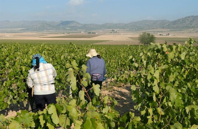Agricultores trabajando