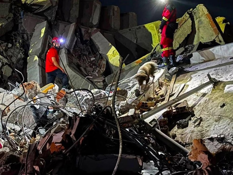 Bomberos españoles desplazados a Venezuela con sus perros de rescate para la búsqueda de supervivientes tras los terremotos.