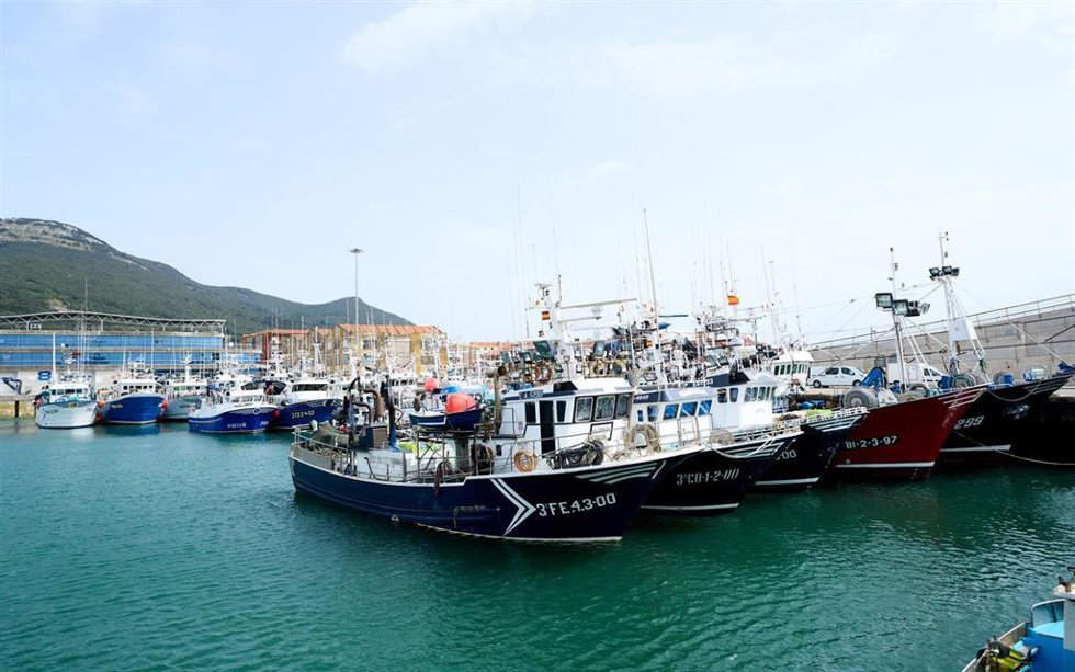 Archivo - Barcos amarrados en el puerto de Santoña