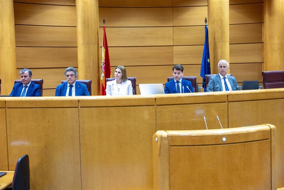 La alcaldesa de Alcalá de Henares (Madrid), Judith Piquet, en su comparecencia ante la Comisión de Entidades Locales del Senado.