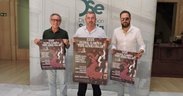 Diputación de Sevilla