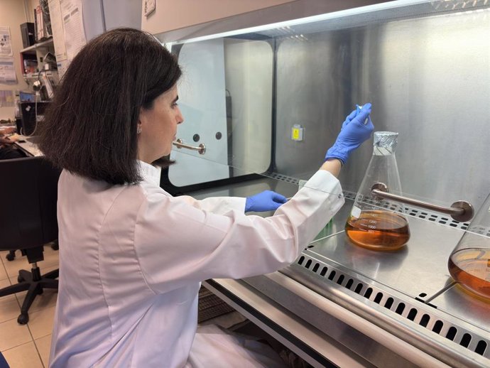 La catedrática de Bioquímica y Biología Molecular de la Universidad de Sevilla Irene Díaz-Moreno.
