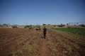 Agricultura eleva a 1.304 millones las ayudas por las borrascas tras un segundo pago de 223 millones