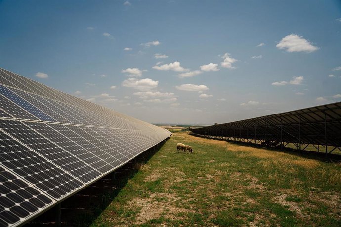Paneles solares
