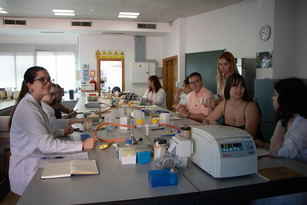 Alumnado de la primera edición del curso 'Modelos genéticos en investigación, de la bacteria al ratón', durante las sesiones prácticas en el Centro Andaluz de Biología del Desarrollo, en el campus de la UPO en Dos Hermanas