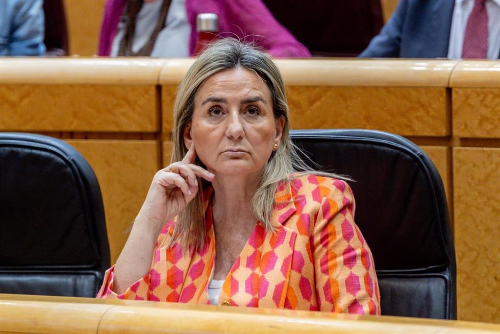 Archivo - La ministra de Educación, Formación Profesional y Deportes, Milagros Tolón.