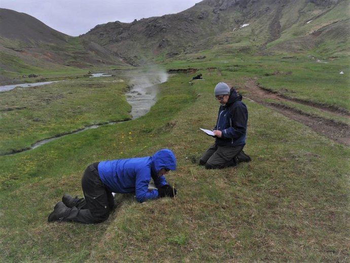 Un estudio de la Universidad revela que las plantas pueden adaptarse más rápido de lo previsto al cambio climatico