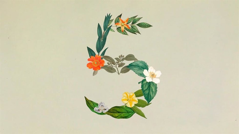 Imagen de Sonnet 5