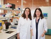 Foto: Científicas logran mejorar la eficacia analgésica de la morfina