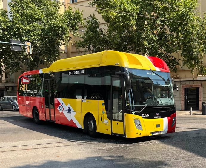 Autobus del TIB