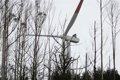 España se sitúa entre los países con mayor peso de las renovables en la generación eléctrica, según Eurostat