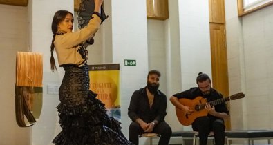 Exposiciones