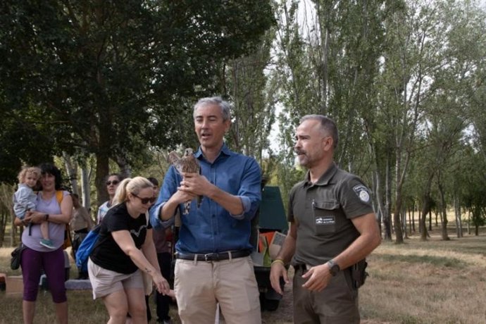 'Ayúdale A Volar' Logra Que Cerca Del 80 % De Las Aves Huérfanas Acogidas Sobrevivan Y Regresen Al Medio Natural