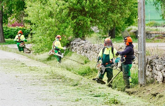 Trabajos de prevención de una de las cuadrillas de la DIputación.