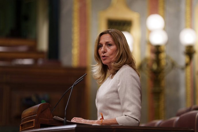La diputada de Vox Reyes Romero interviene durante una sesión plenaria en el Congreso de los Diputados, en foto de archivo