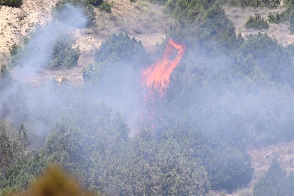 Unos árboles se queman durante un incendio forestal, a 1 de julio de 2026, en Leciñena, Zaragoza, Aragón (España). El Gobierno de Aragón ha pedido desplegar la Unidad Militar de Emergencias (UME) para hacer frente al incendio de Leciñena. El operativo mil