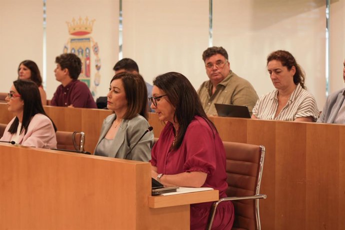 Junta de Gobierno de Diputación para abordar los planes de cohesión territorial