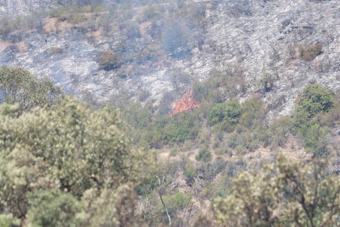 Imagen de archivo del incendio de Villanueva de los Castillejos (Huelva).