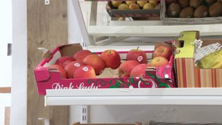 Archivo - Caja cartón con tomates