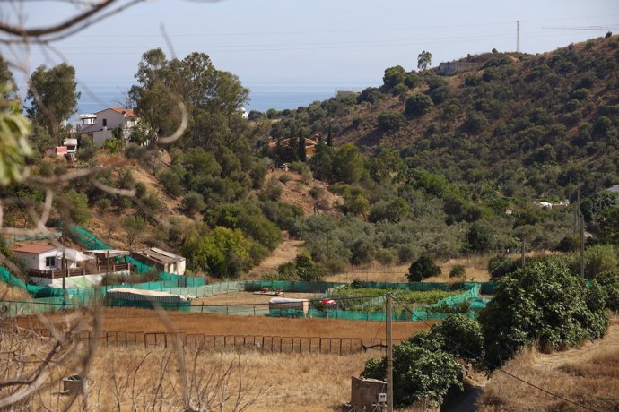 Hallan el cuerpo de una mujer en un pozo en Rincón de la Victoria 