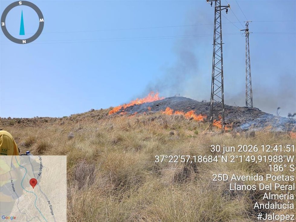 Incendio forestal declarado en Antas (Almería).