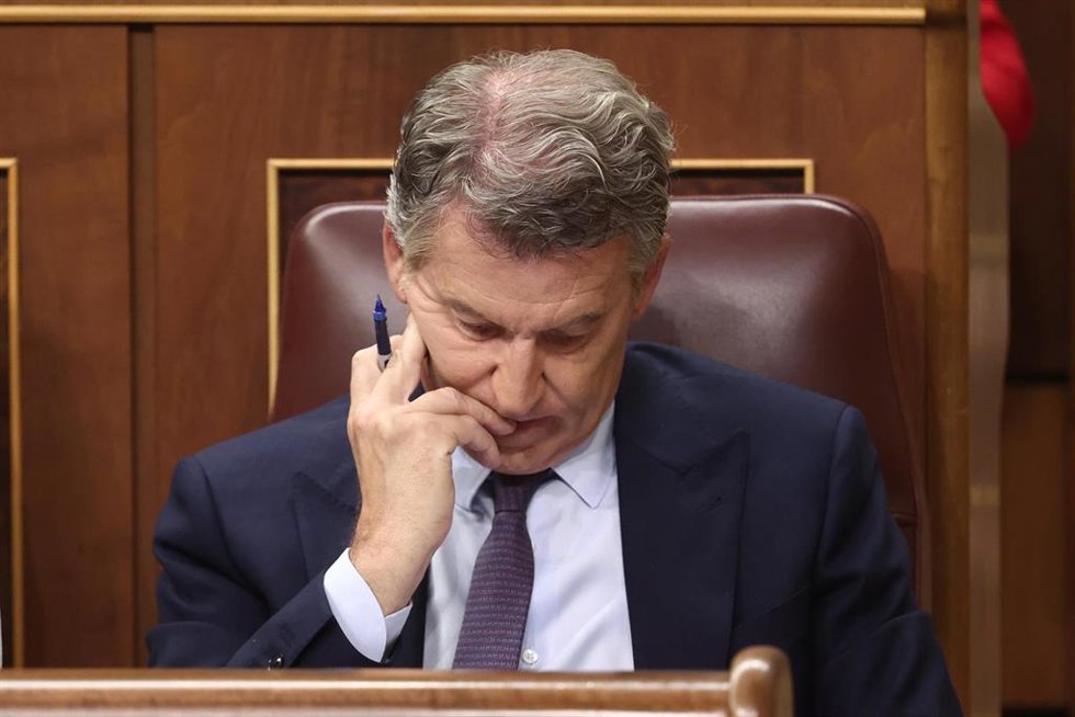 El presidente del Partido Popular, Alberto Núñez Feijóo, durante una sesión plenaria en el Congreso