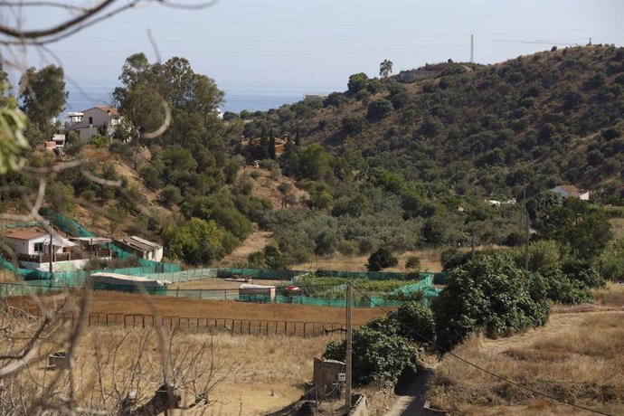 Zona en la que han localizado el cádaver de una mujer dentro de un pozo en Rincón de la Victoria (Málaga). 