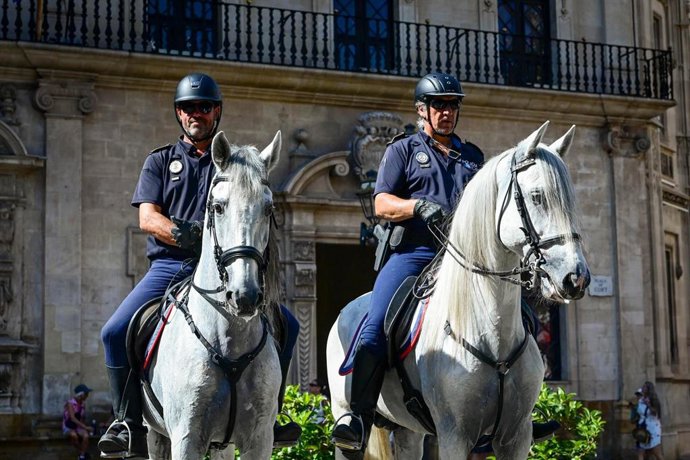 La Policía Local de Palma incorpora dos caballos a su unidad montada.