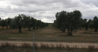 Castilla-La Mancha