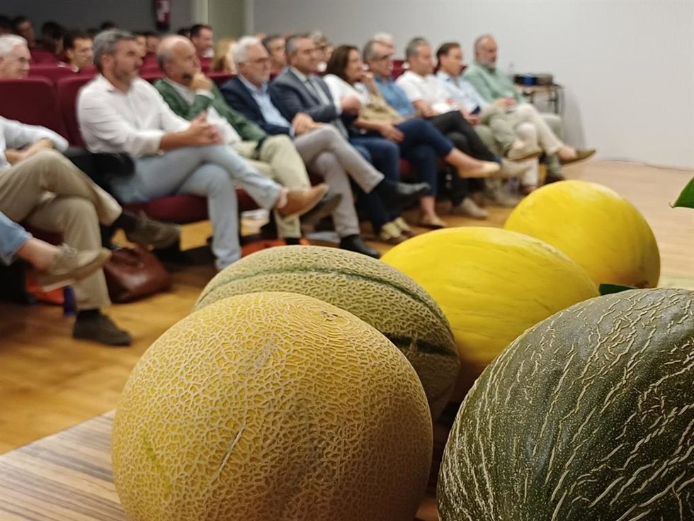 El consejero de Agua, Agricultura, Ganadería y Pesca, Joaquín Buendía, durante la clausura del I Encuentro Agroprofesional del Melón.