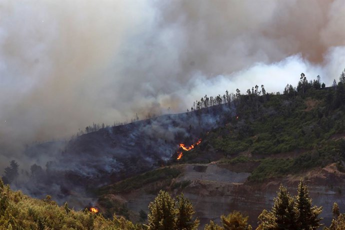 Traiguen 11 de febrero 2025.  Incendio forestal obliga a la evacuacion del sector Colpi Santa Ana de la comuna de Traiguen  Carlos Acuña/Aton Chile