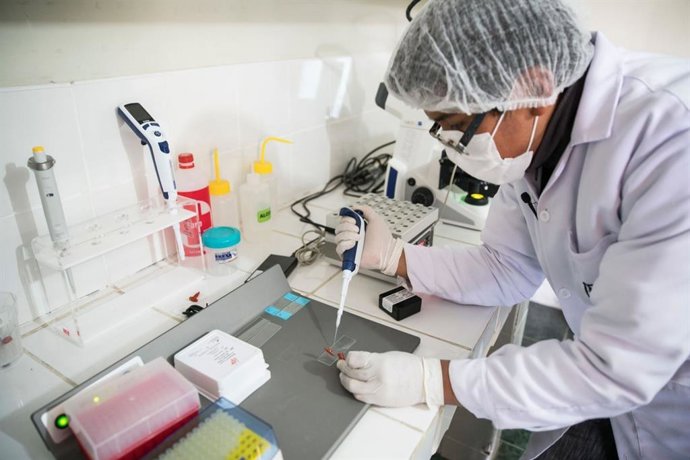 Perú.- Concytec financiará 75 proyectos de investigación con más de S/ 16 millones
