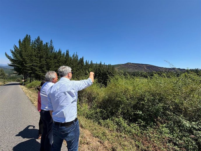 El delegado del Gobierno en Castilla y León, Nicanor Sen, ha visitado junto al alcalde de Vega de Espinareda la zona afectada por el incendio forestal iniciado la pasada semana