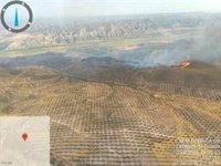 El Infoca da por estabilizado el incendio forestal declarado en un paraje de Dehesas de Guadix (Granada)