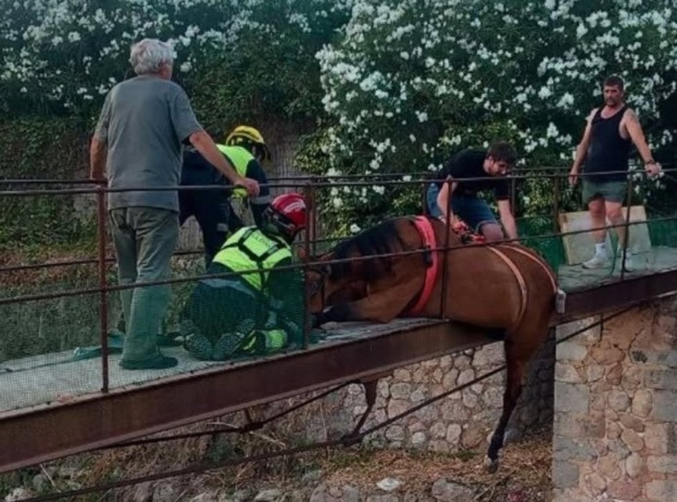 Rescatan a un caballo que quedó atrapado en un puente en Sóller.