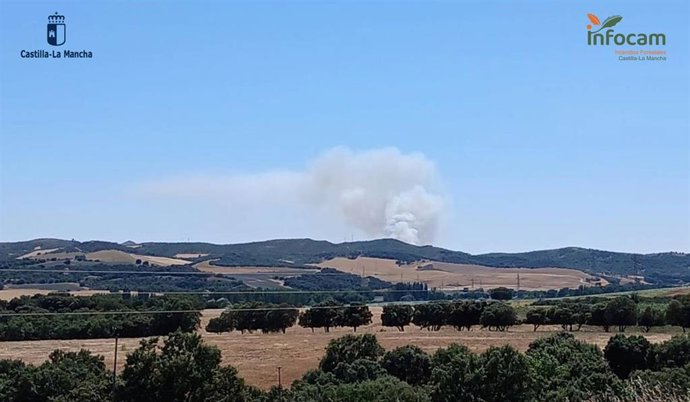 Incendio forestal en Malaguilla, Guadalajara.