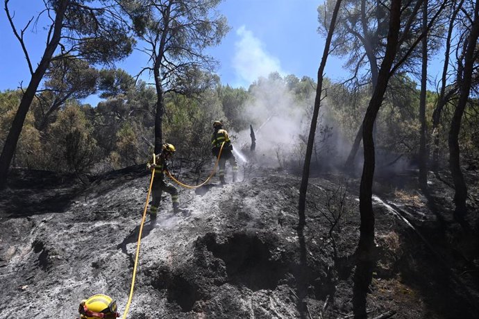 Varios bomberos trabajando en la extinción del incendio de Leciñena.