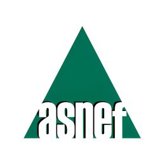 Foto: La financiación al consumo crece un 4,5% en 2025 y la inversión nueva toca los 29.227 millones, según Asnef