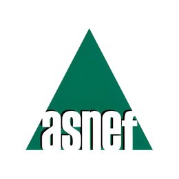 Logo de Asnef.