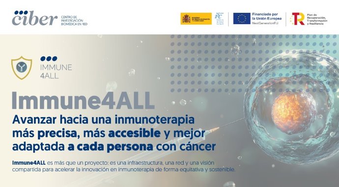 Imagem da infografia publicada pelo CIBER.