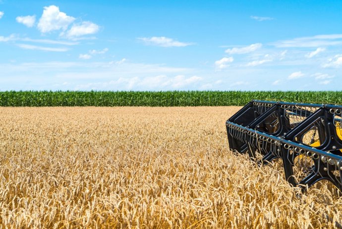 Unión de Uniones estima pérdidas en cereales del 30% en las zonas productoras por las olas de calor.