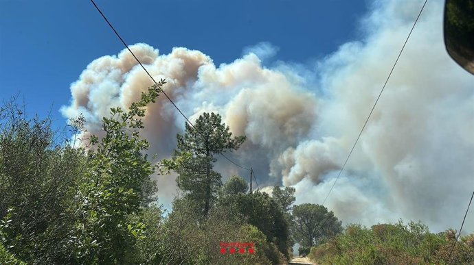 Incendio en la Bisbal d'Empordà (Girona)