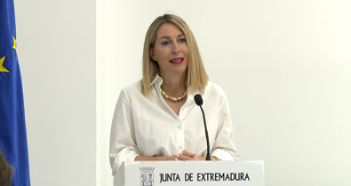 Vídeos