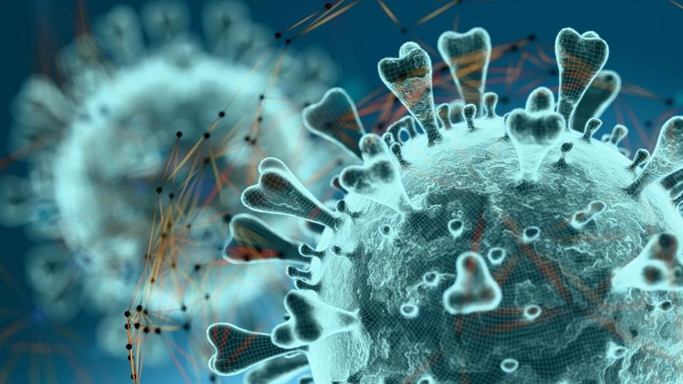 La investigación evalúa métodos de análisis del virus H5N1 (en la imagen) en leche y en el entorno de las explotaciones ganaderas, facilitando una detección más temprana de posibles brotes
