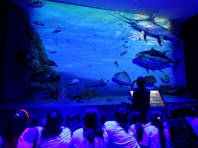 El Museu del Port de Tarragona recibe este curso escolar cerca de 10.000 estudiantes