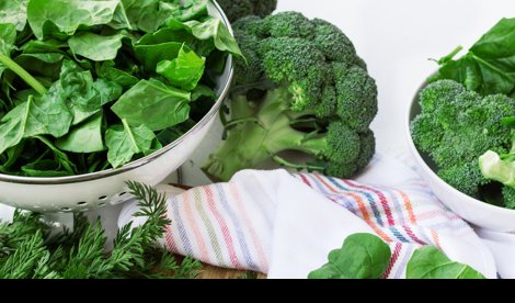 Nutrición