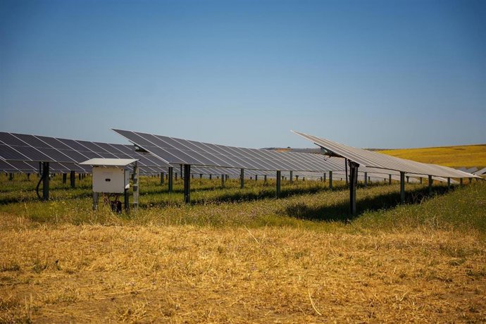Archivo - Imagen de la planta fotovoltaica Rey Solar de Recurrent Energy en la localidad sevillana de Carmona. A 1 de junio de 2026 en Carmona (Sevilla).
